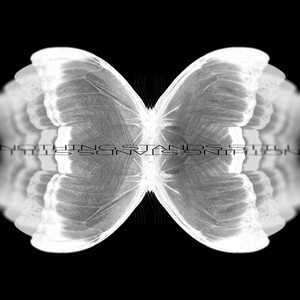 Blind8 - Nothing Stands Still
