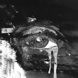 Hollyflame - Серый Питер ft Keer