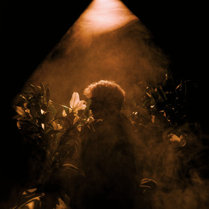 Море Лун - Завтра Навсегда