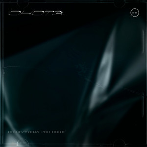 Everything I'Ve Done - Ohota