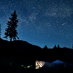 Need You Now - Peter Kugel