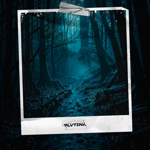 Ritual - Plvtina