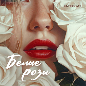 Белые Розы - Сателлит